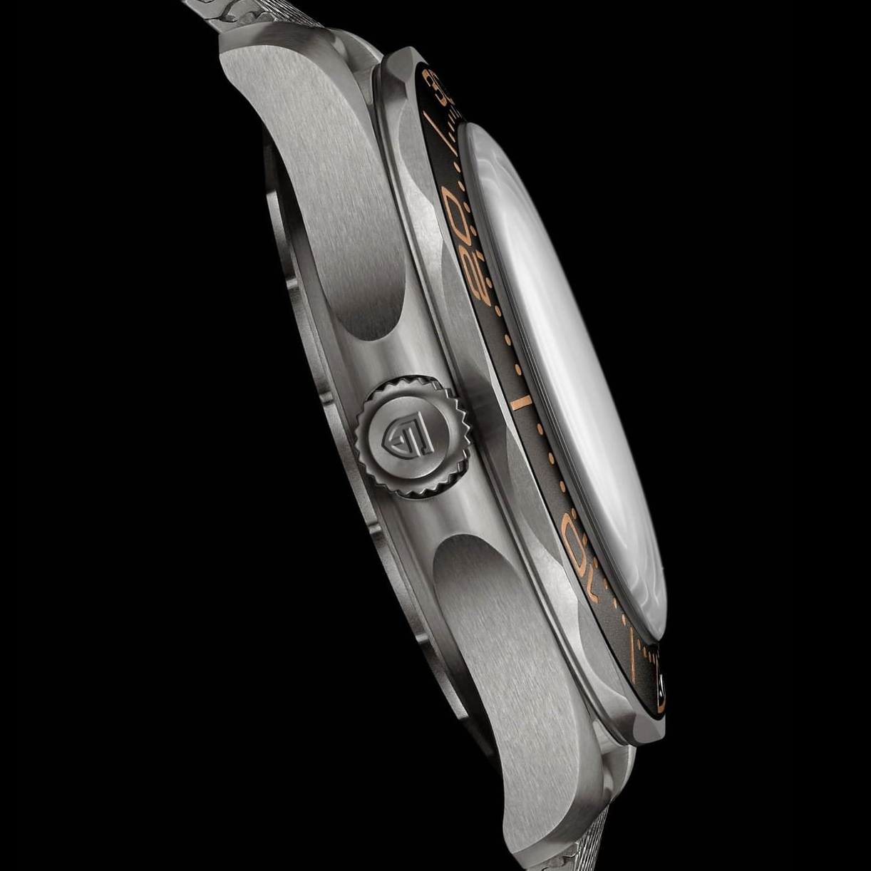 Jam Tangan Pria PAGANI DESIGN  - Rolex Watch Submariner ulasan dan harga